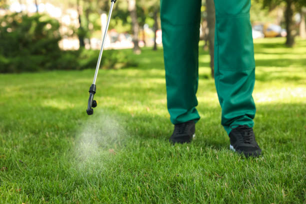 Best Pest Removal Services  in Lakesite, TN