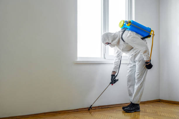 Best Local Pest Control Services  in Lakesite, TN