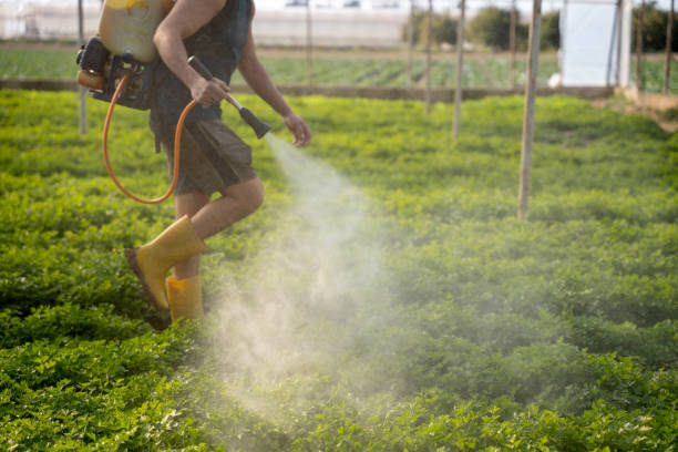 Best Best Pest Control Companies  in Lakesite, TN