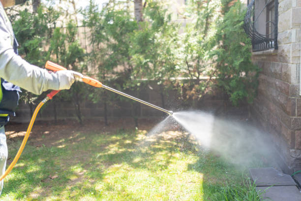 Best Wasp Removal Services  in Lakesite, TN