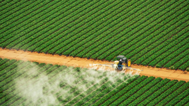 Best Mosquito Control Services  in Lakesite, TN