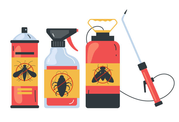 Best Insect Control  in Lakesite, TN