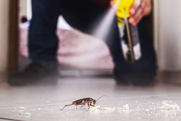 Pest Control Cost in Lakesite, TN