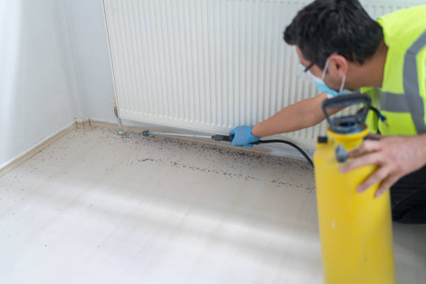 Best Ant Control Services  in Lakesite, TN