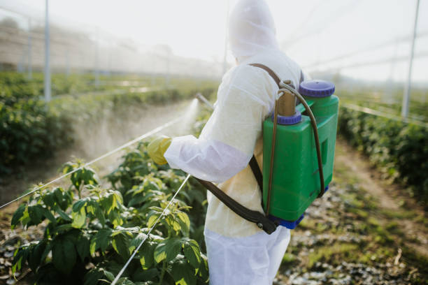 Best Best Pest Control Companies  in Lakesite, TN